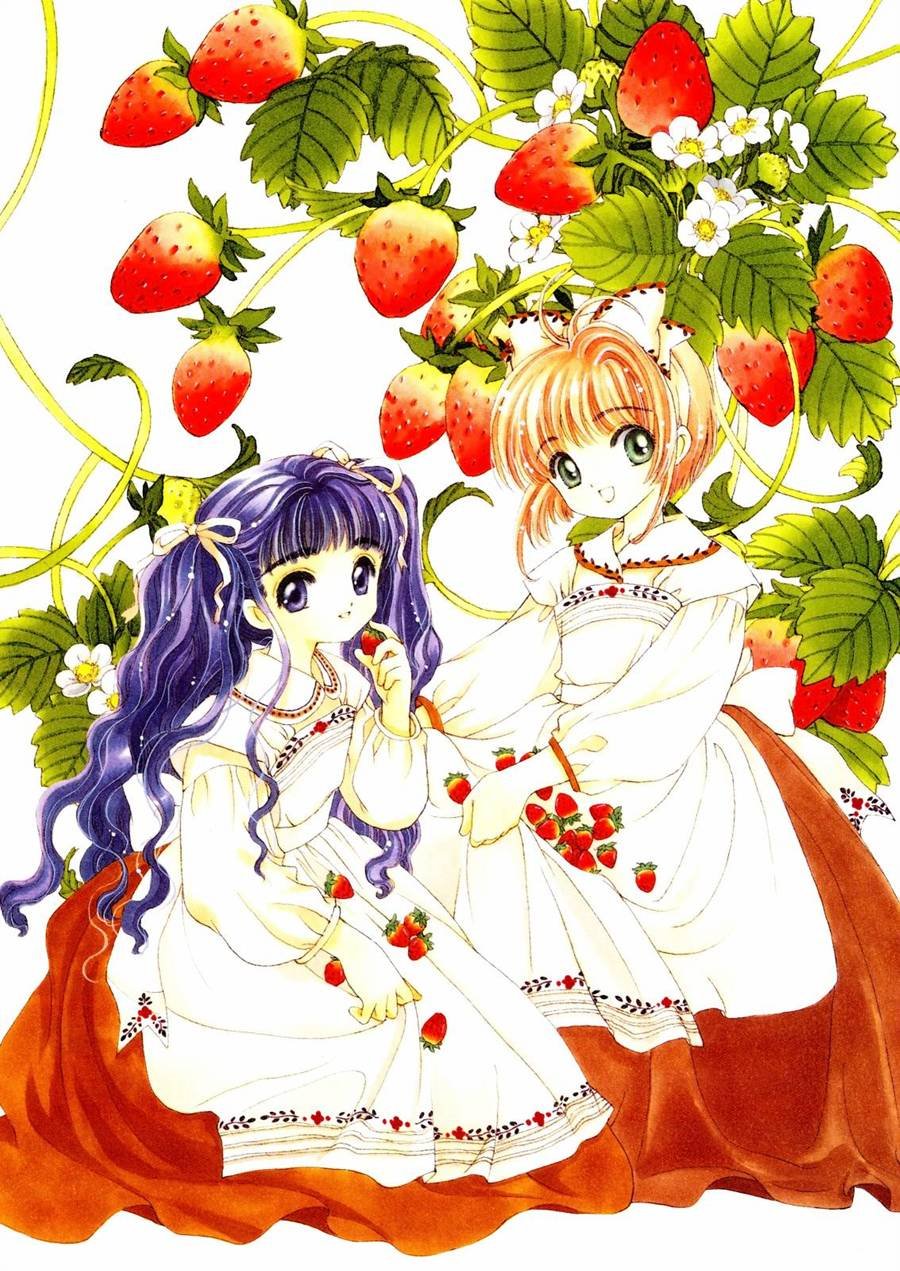 魔法少女樱20周年纪念画集