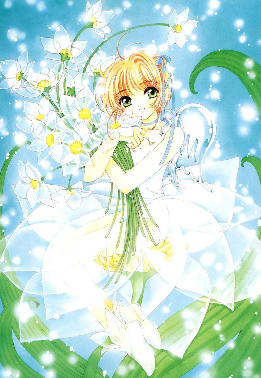 魔法少女樱20周年纪念画集