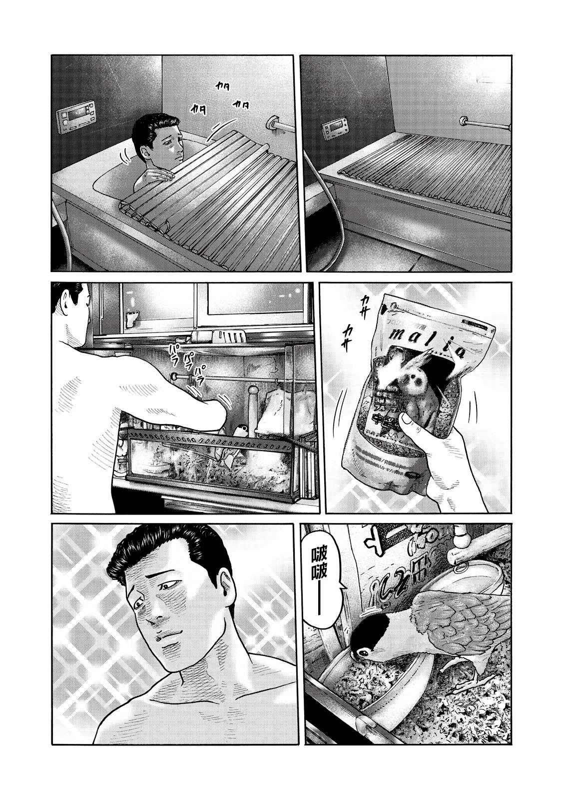 番外（6）