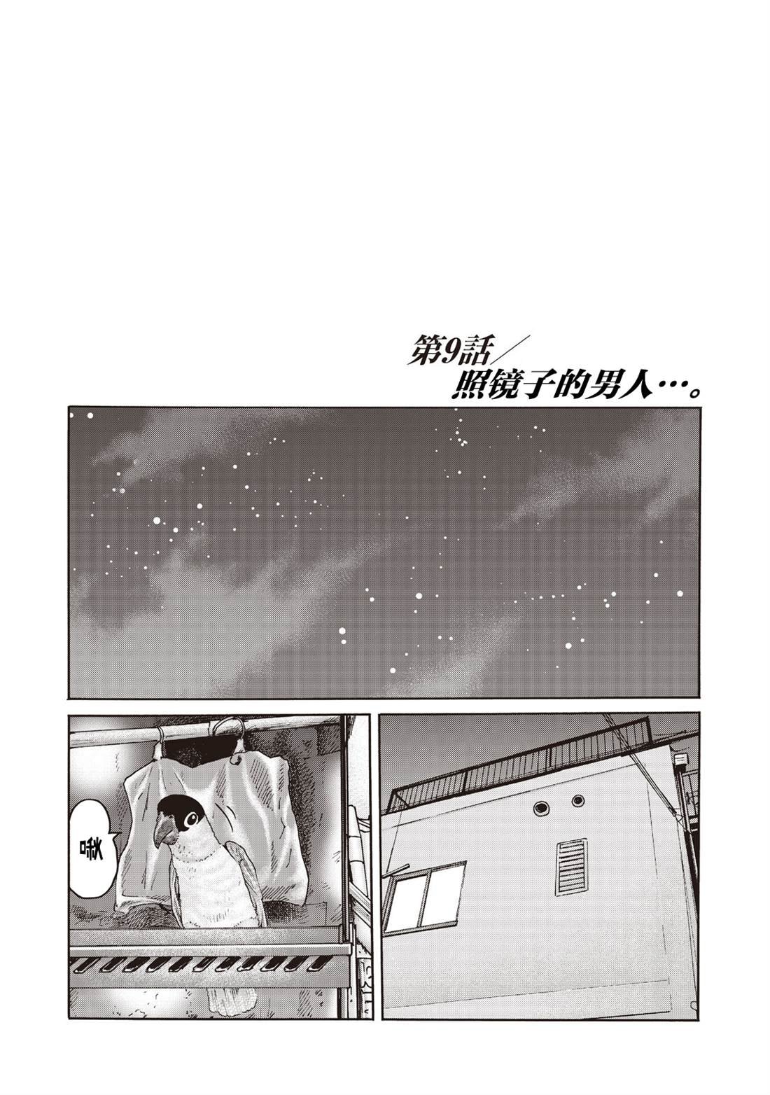 番外（9）