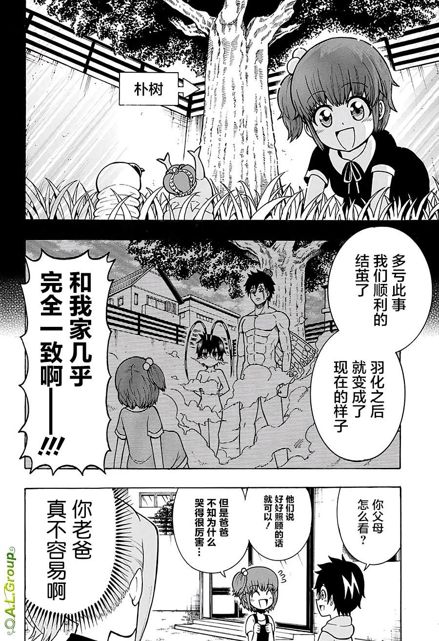 第10话 大紫蛱蝶