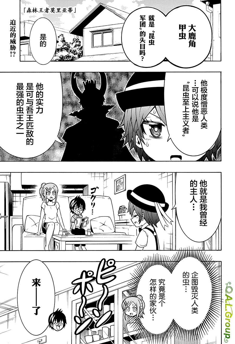 第22话 大鹿角甲虫