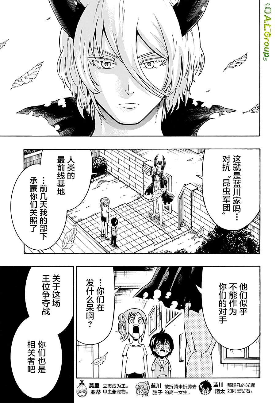 第22话 大鹿角甲虫