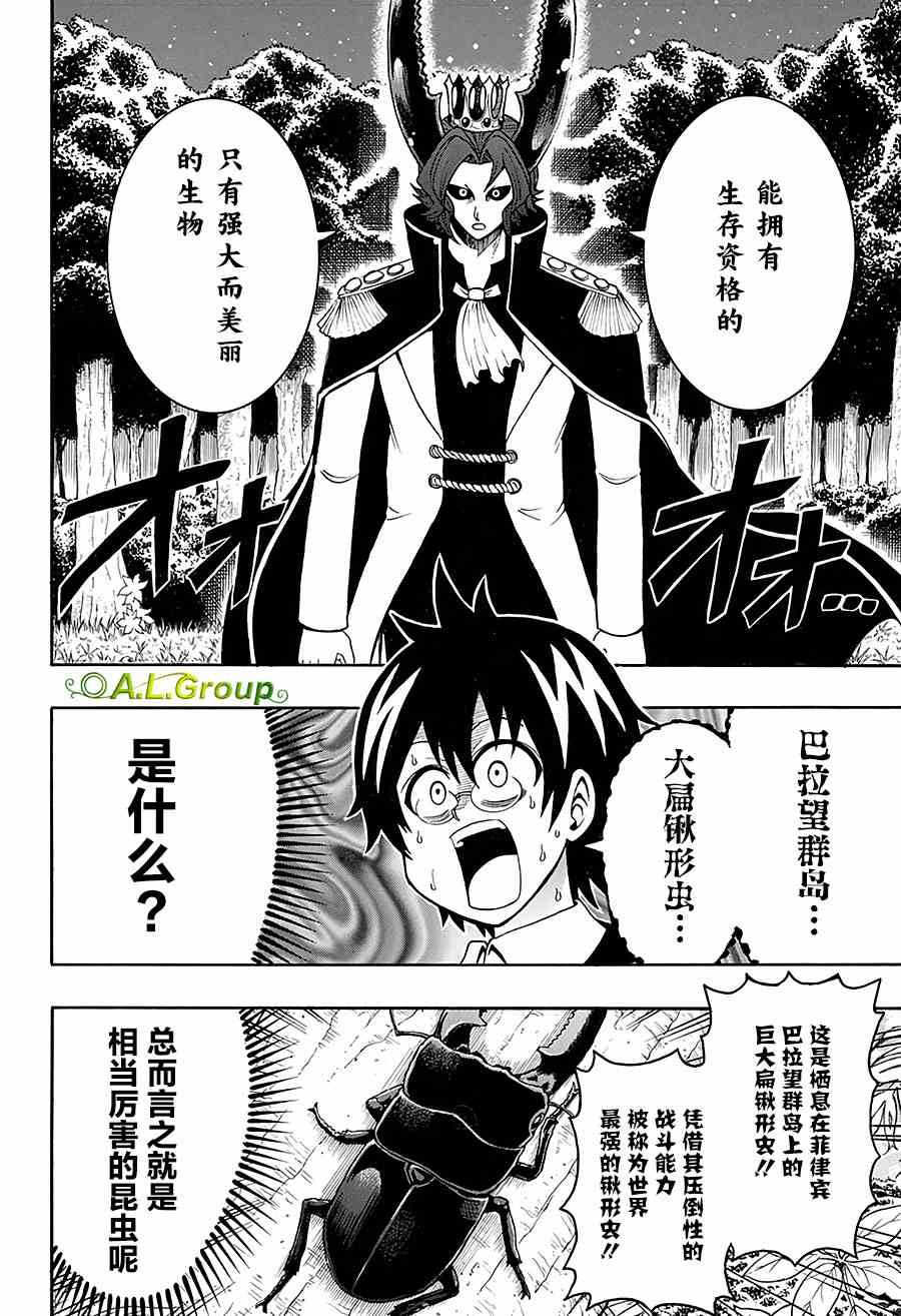 第31话 金环胡蜂VS巴拉望群岛大扁锹形虫