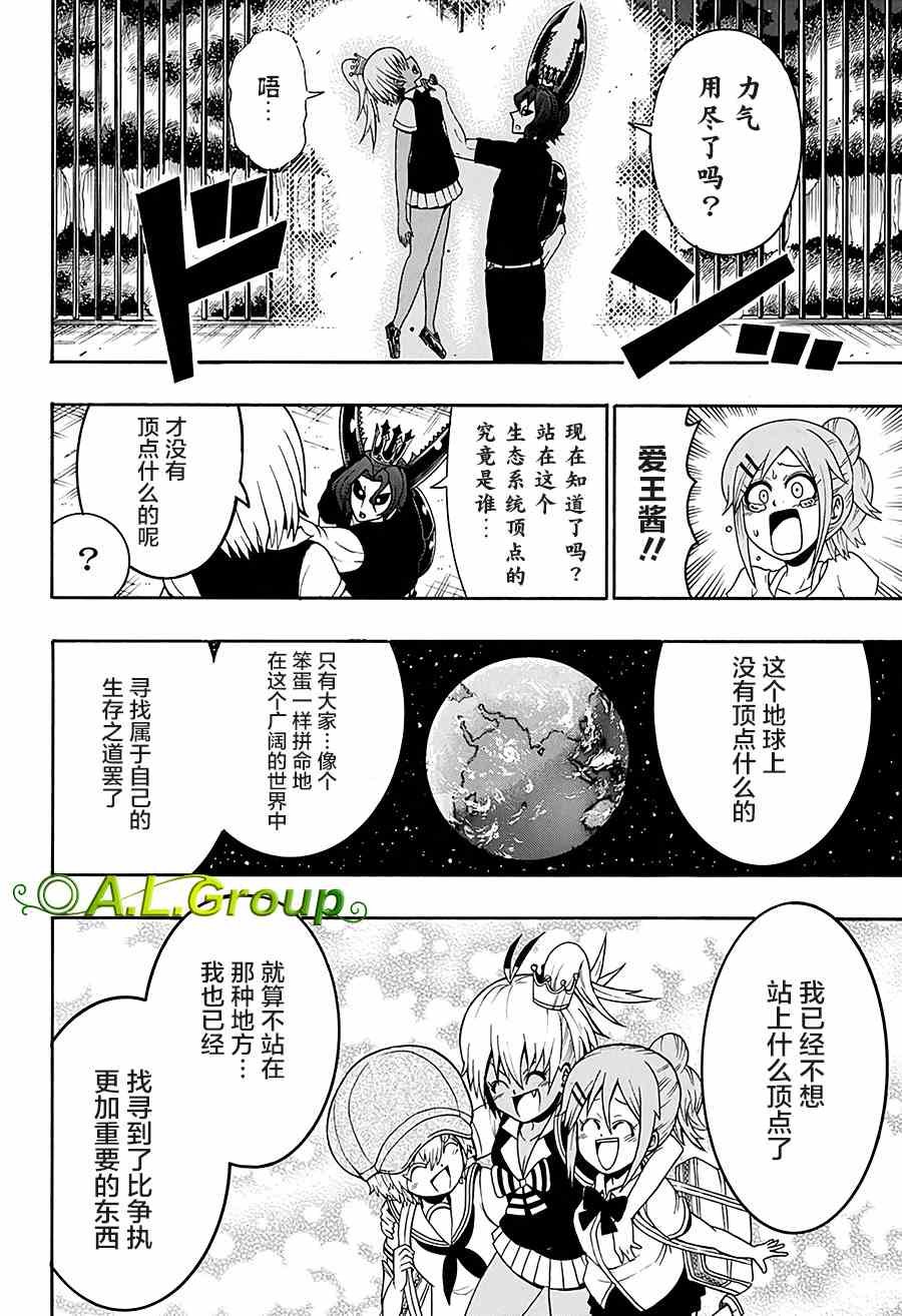 第31话 金环胡蜂VS巴拉望群岛大扁锹形虫