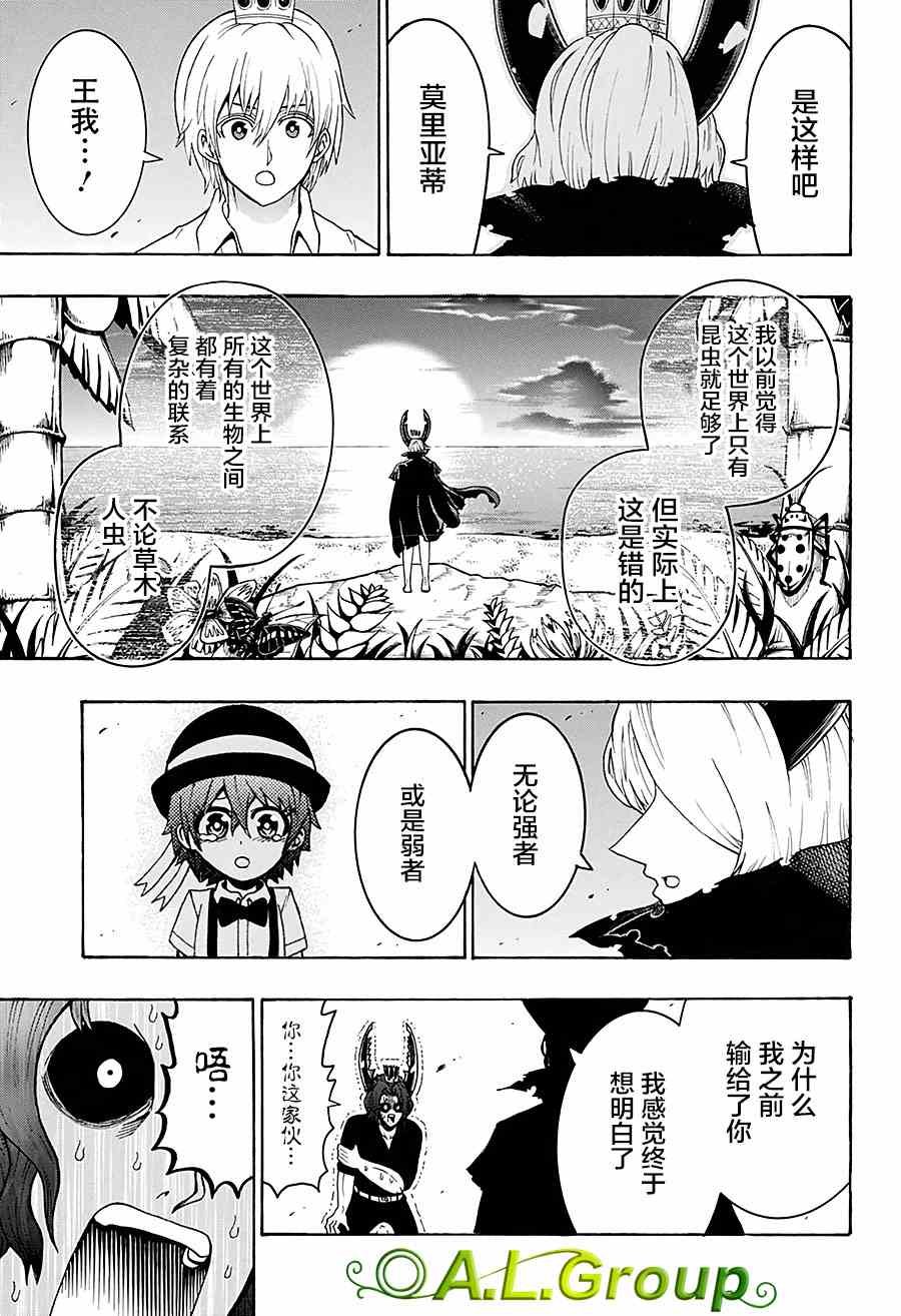 第31话 金环胡蜂VS巴拉望群岛大扁锹形虫