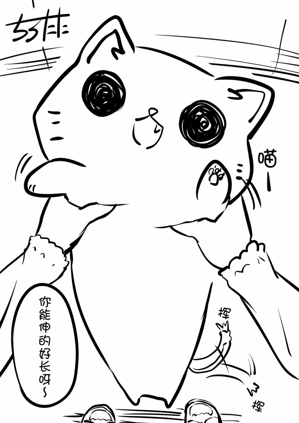 皮化猫