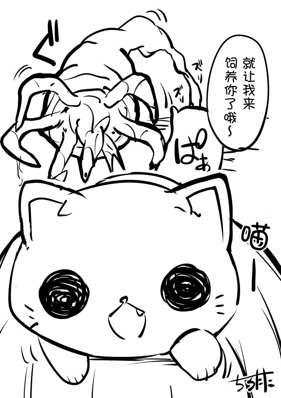 皮化猫