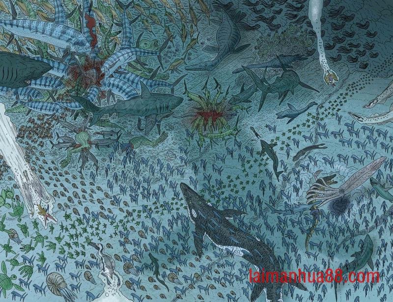 龙尸海龟宝宝