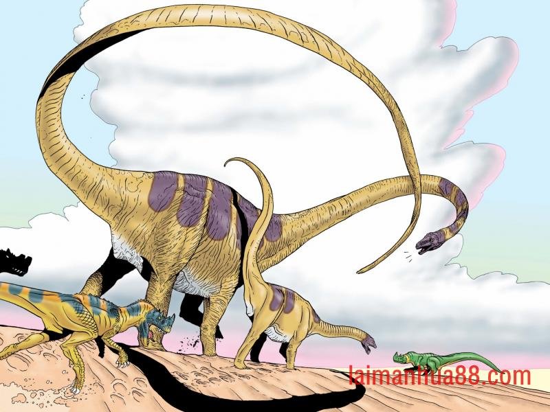 捕猎5