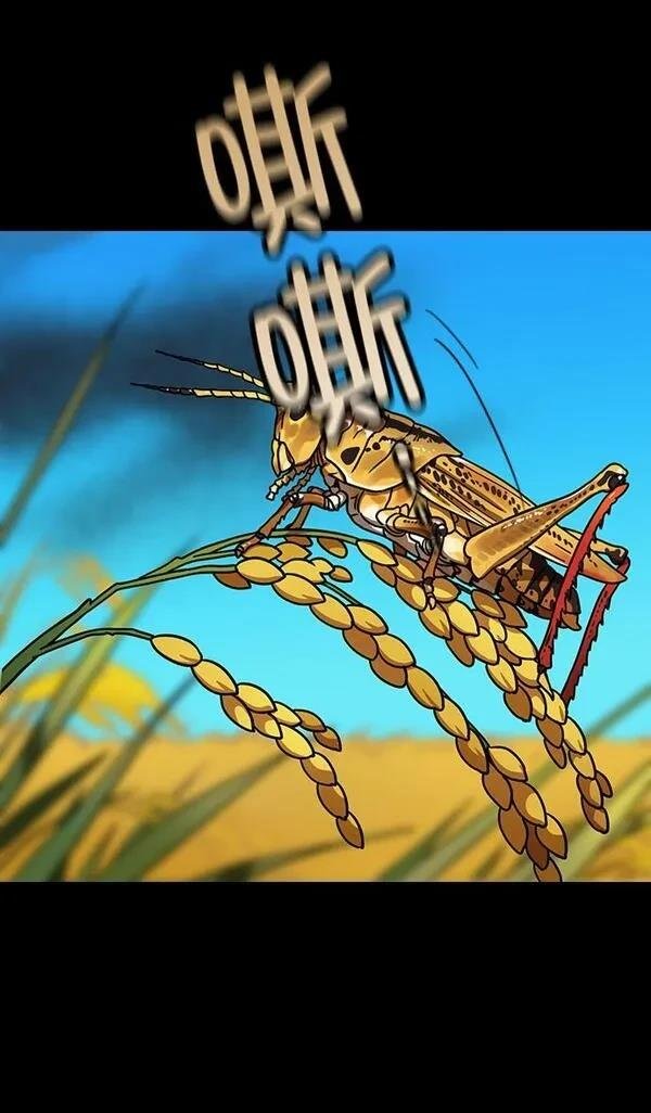 第171话