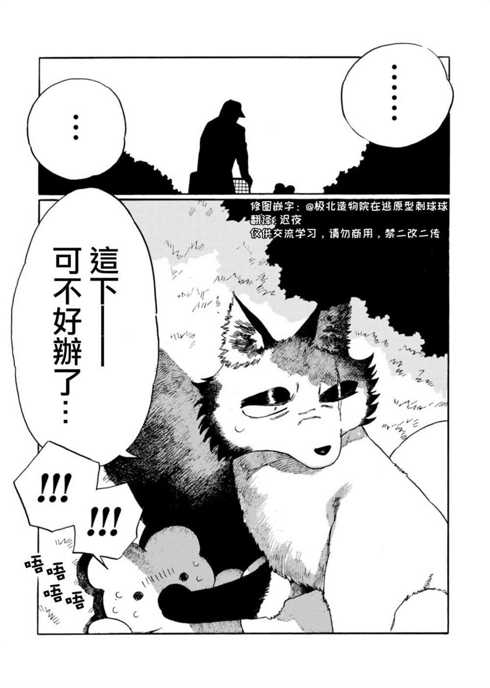 第12话