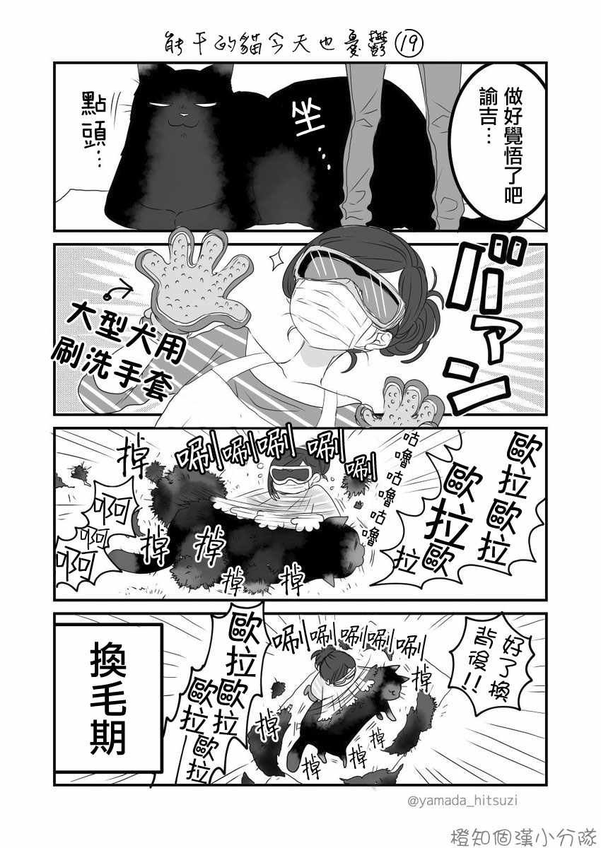 能干的猫 推特版17-20