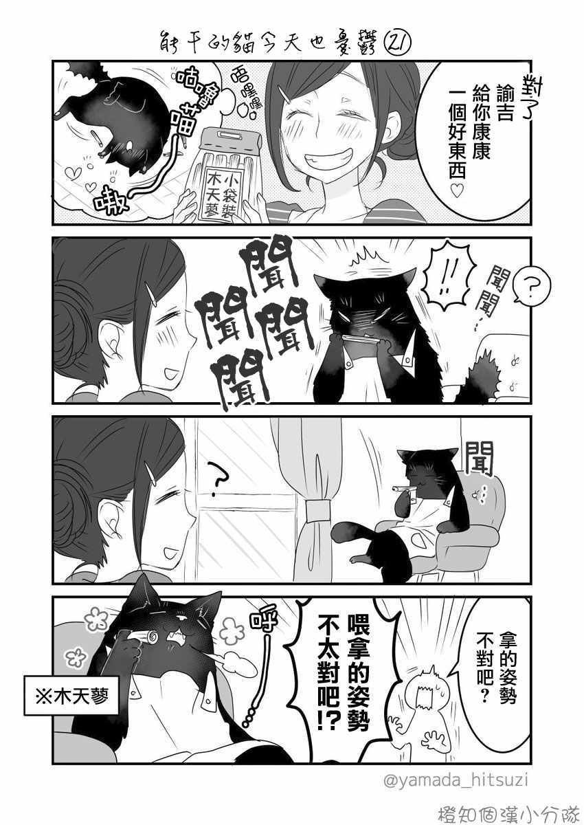 能干的猫 推特版21-28