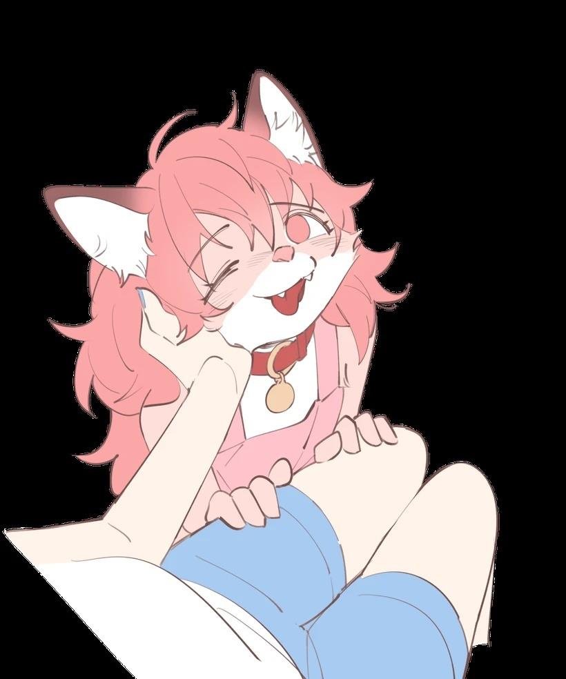 推特插图01