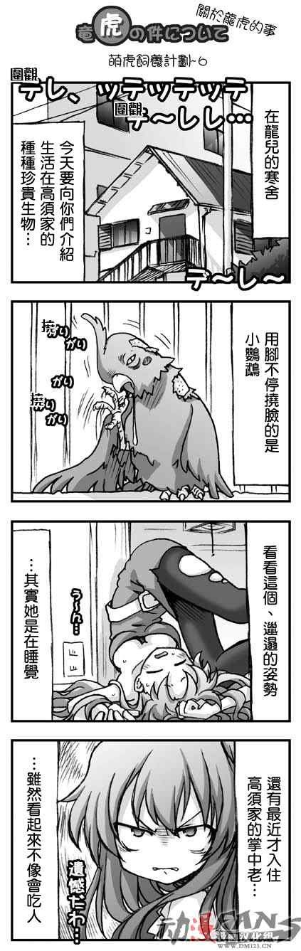 萌虎饲养计划