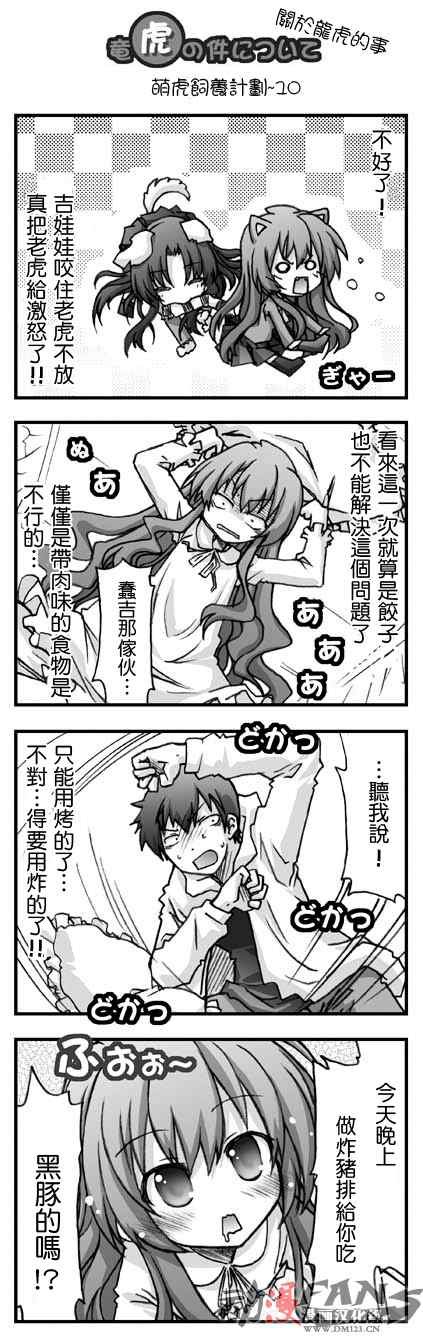 萌虎饲养计划