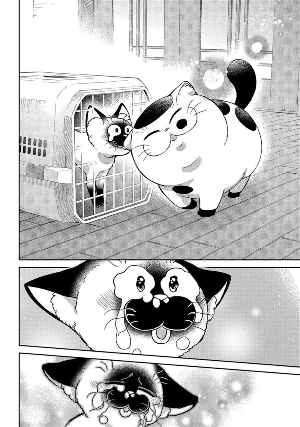 第91话 试看版