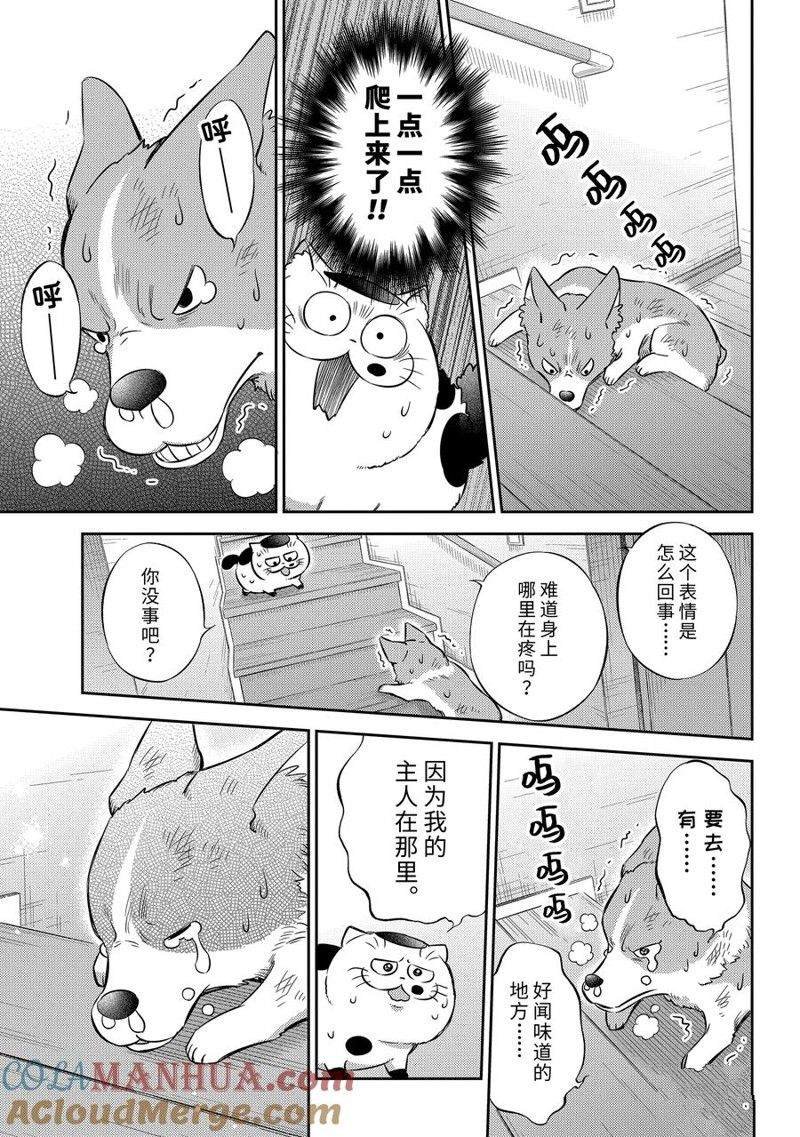 第99话 试看版