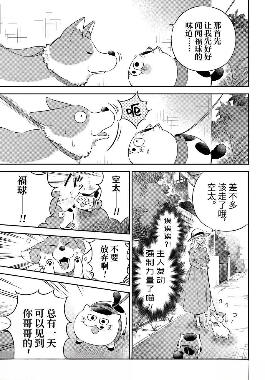 第117话