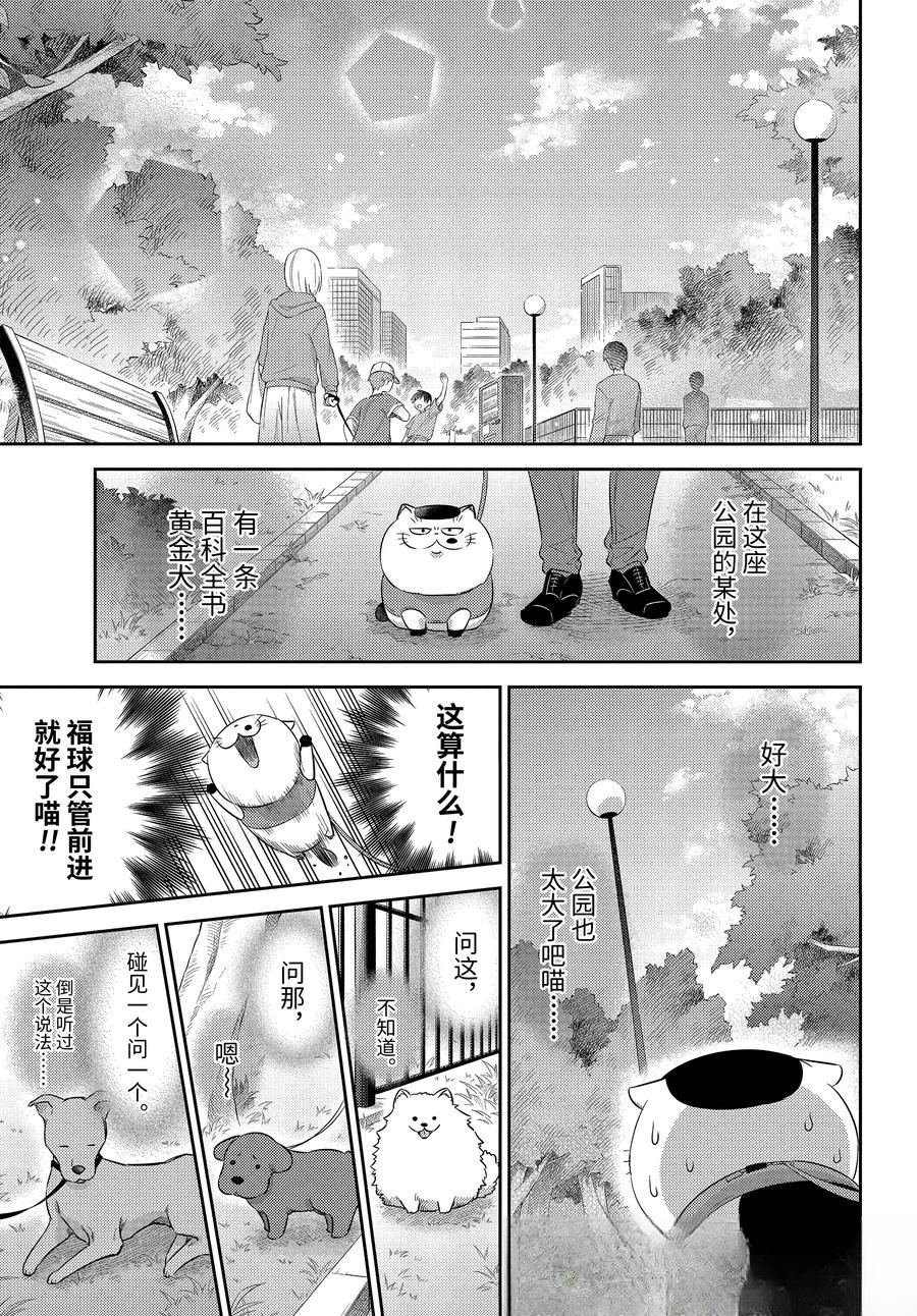 第117话