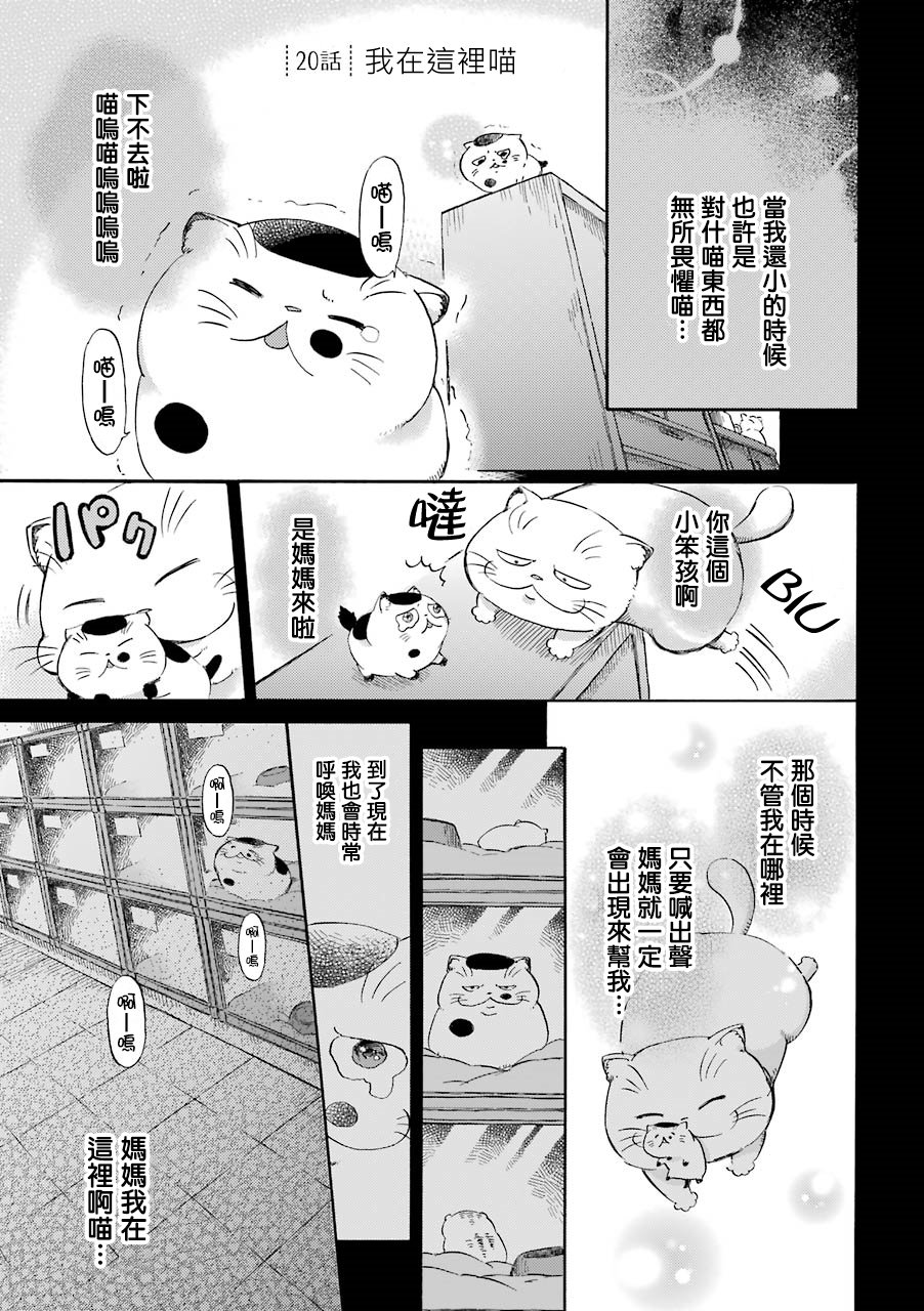 第27话 我在这里喵