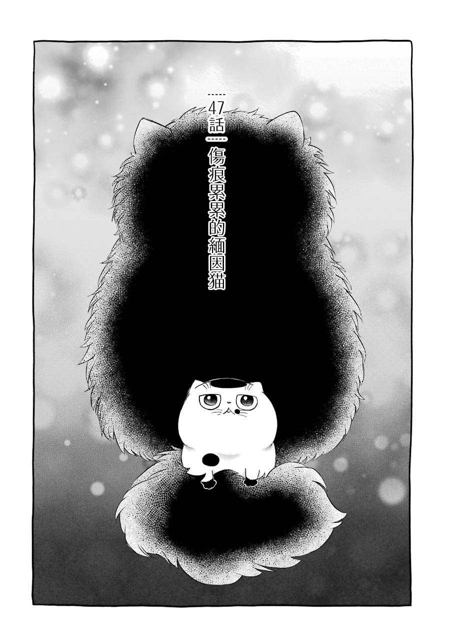 第47话
