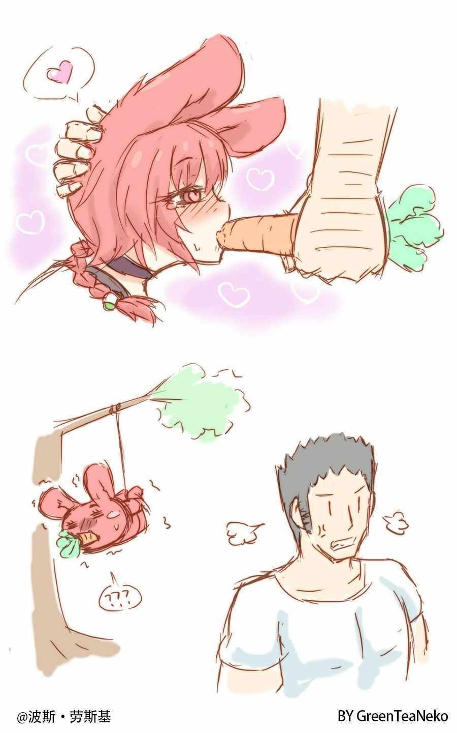 胡萝北篇上