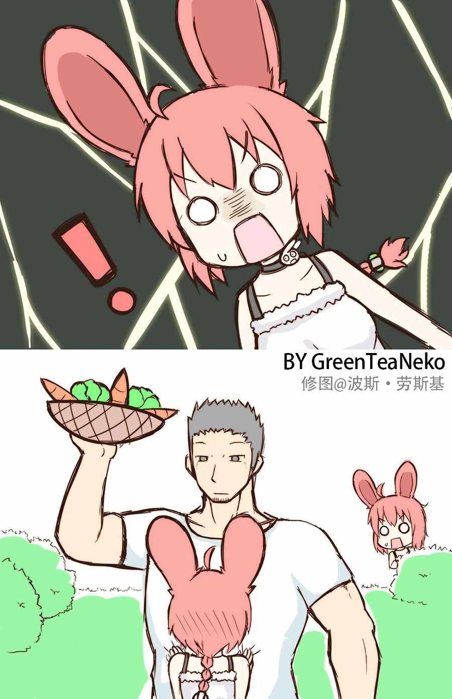真假诺亚篇