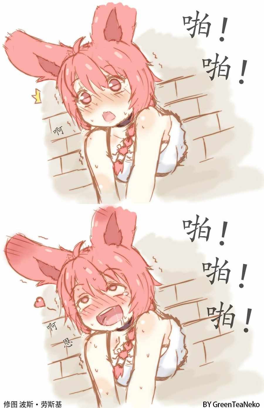 红萝卜！胡萝卜！