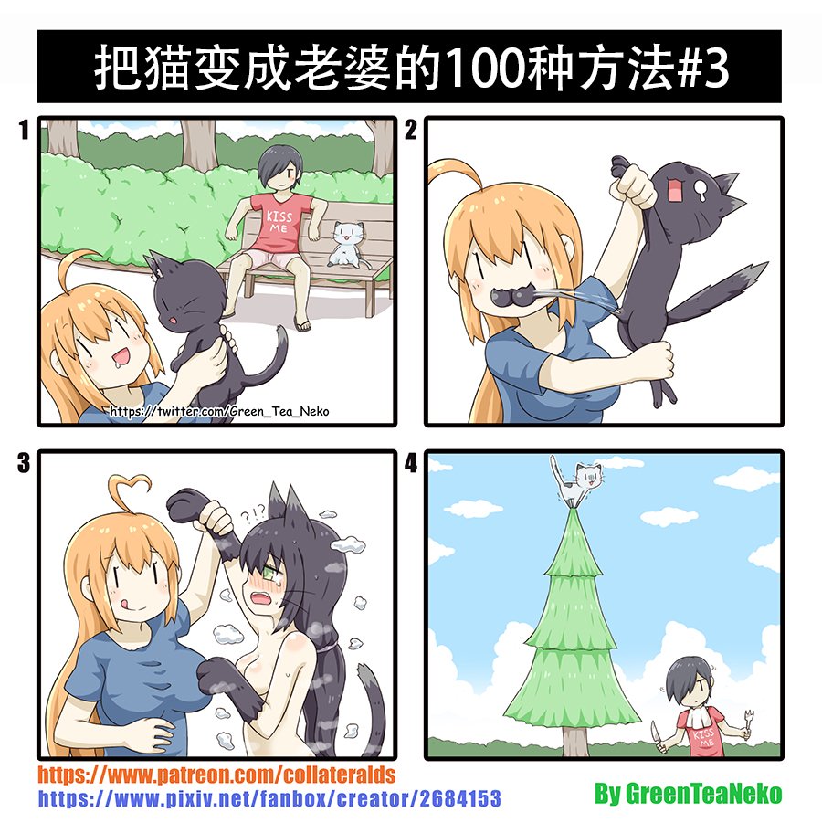 第三种