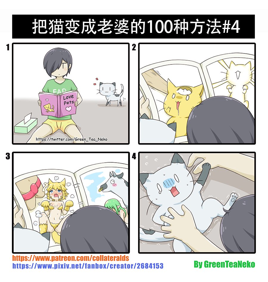 第四种