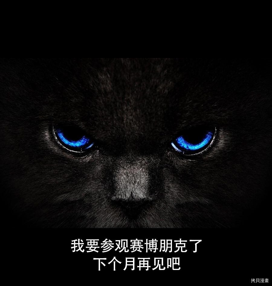 刀剑神域13