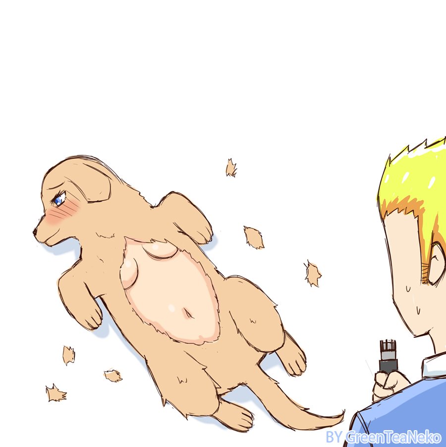猫与狗篇