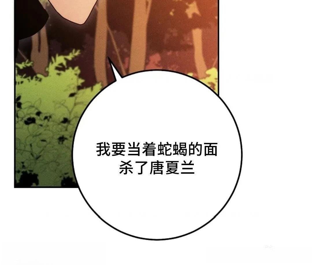 第117话