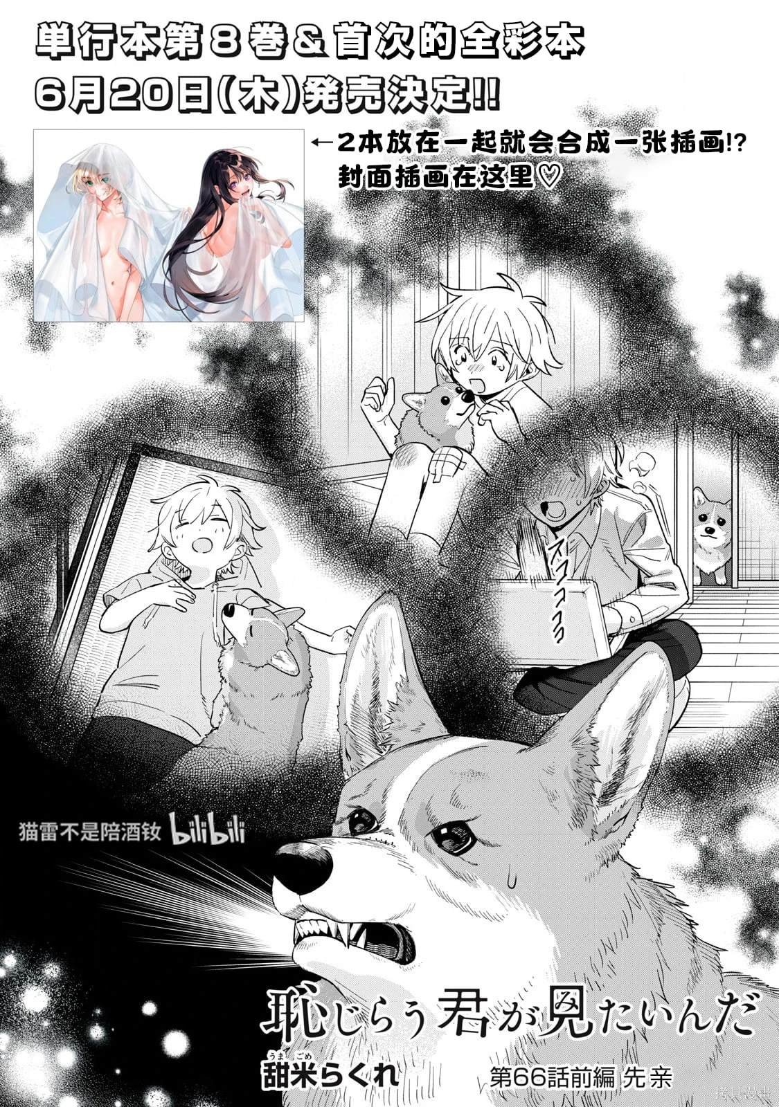 第66.1话