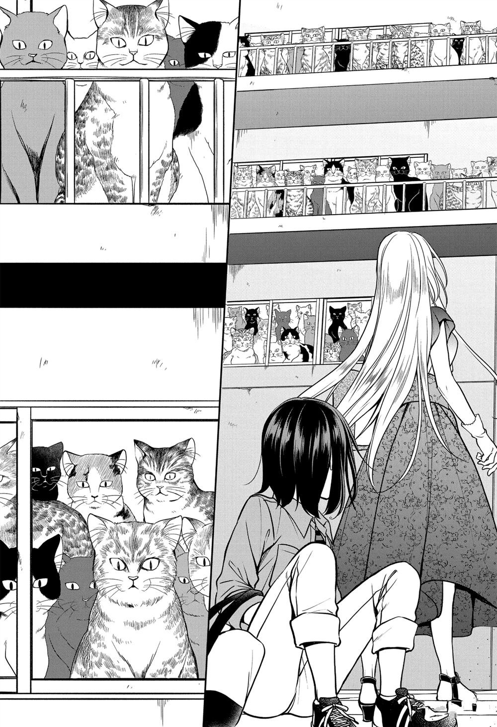第41话 试看版