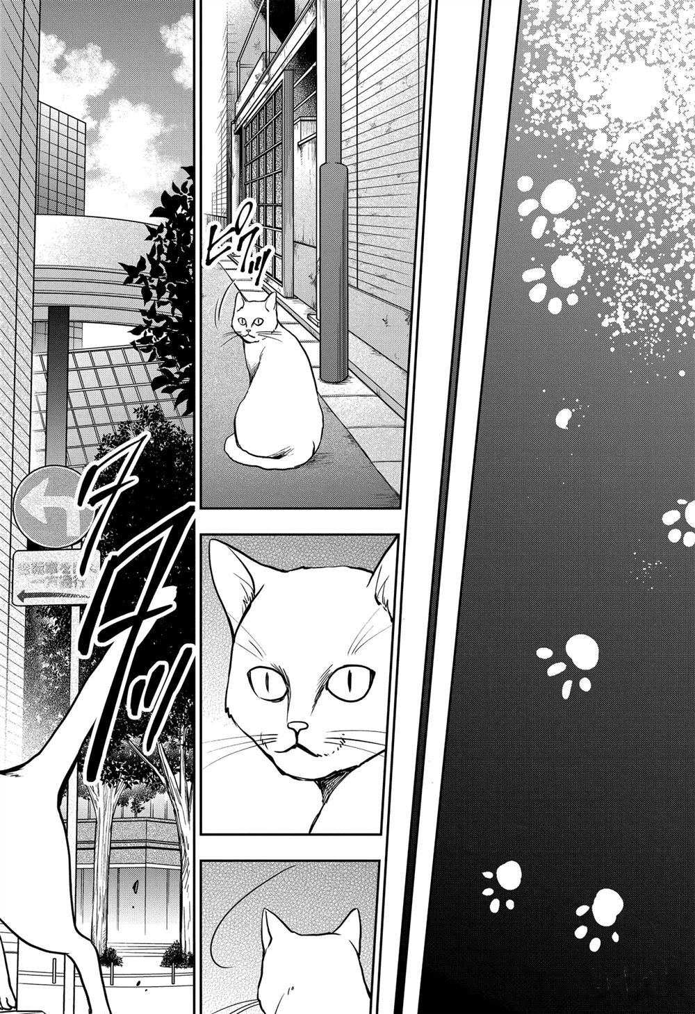 第41话 试看版