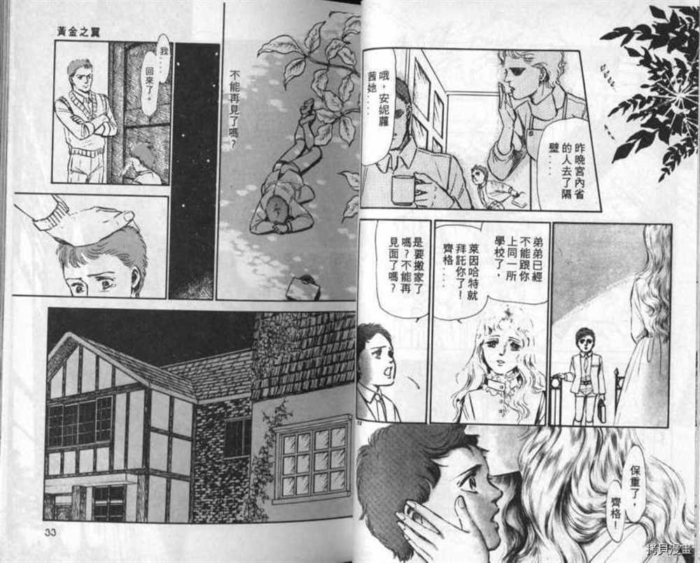 外传_黄金之翼