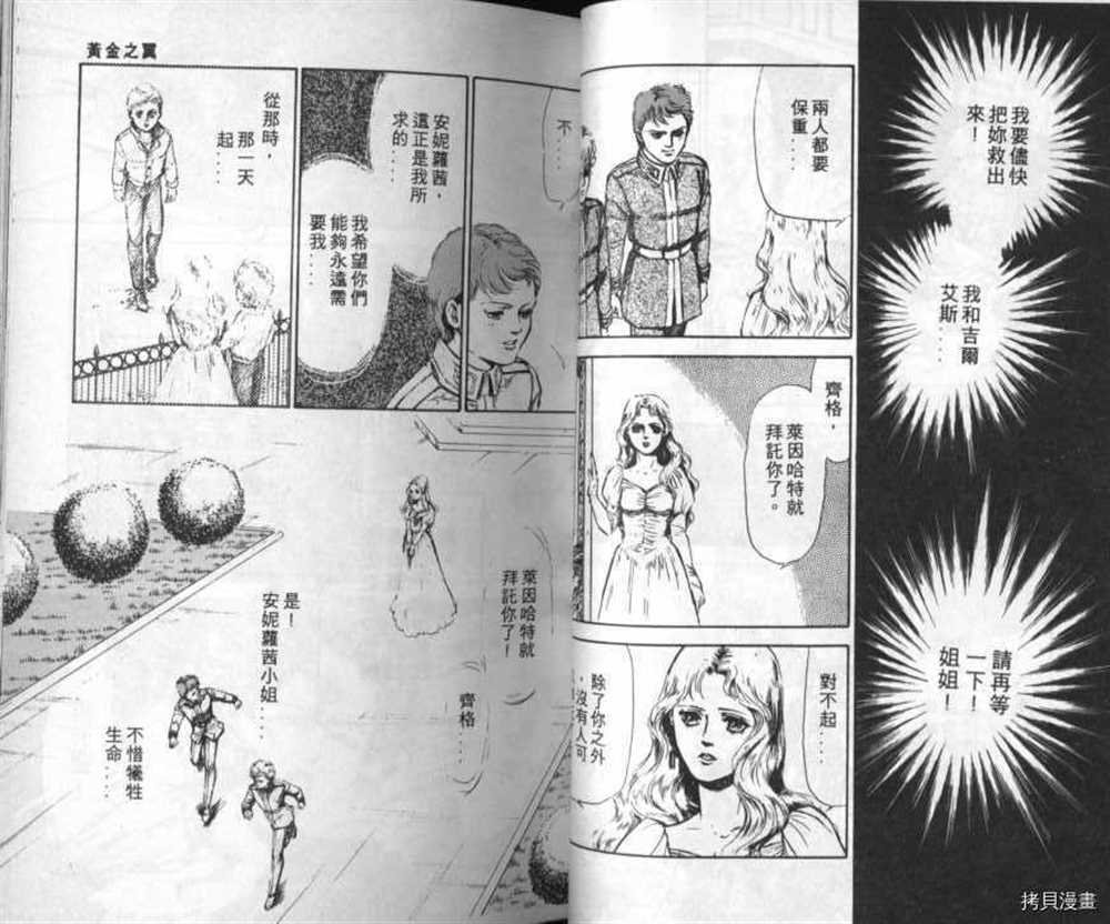 外传_黄金之翼