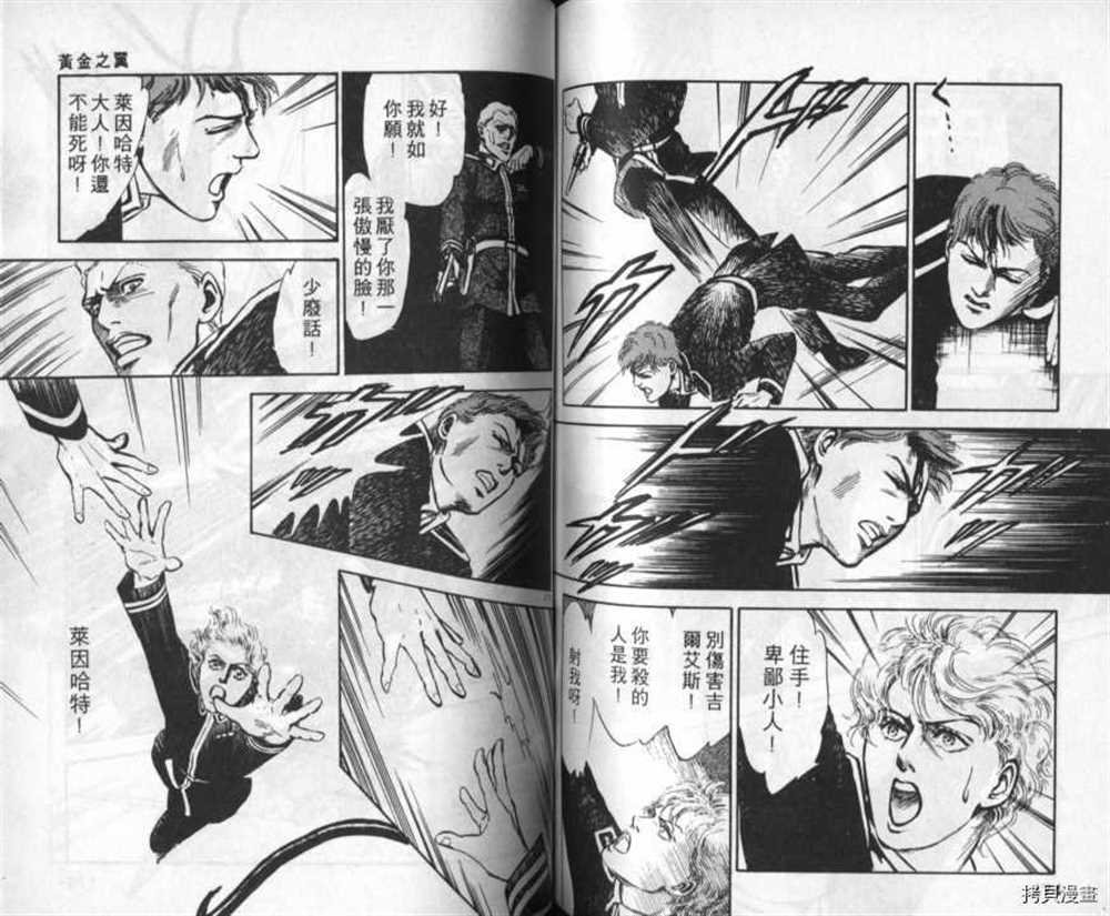 外传_黄金之翼
