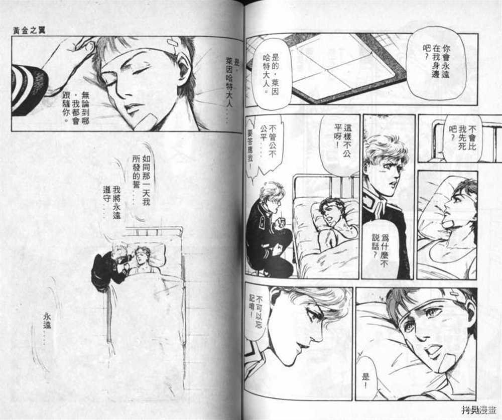 外传_黄金之翼