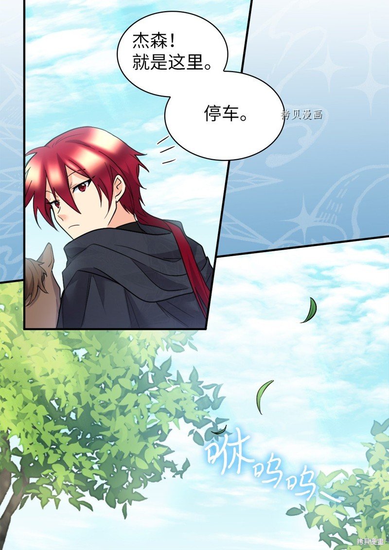 第117话