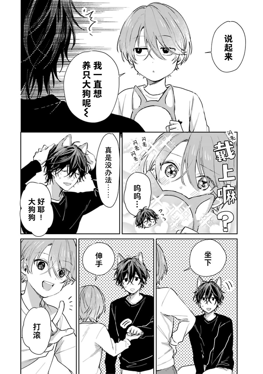 狗狗