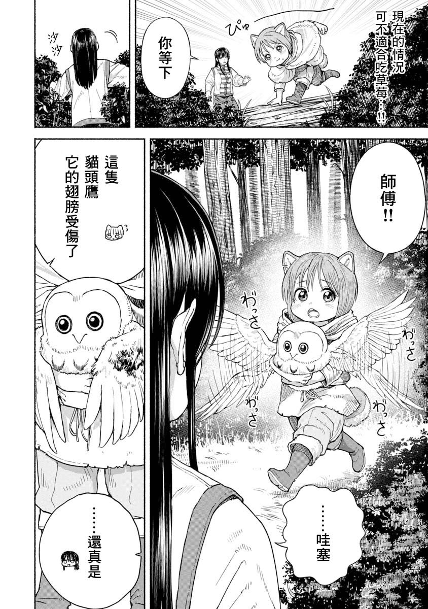 养猫头鹰吧