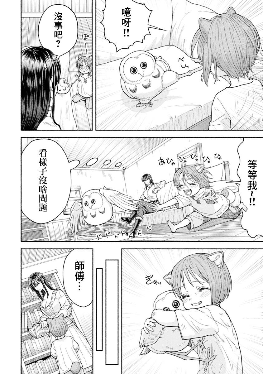 养猫头鹰吧