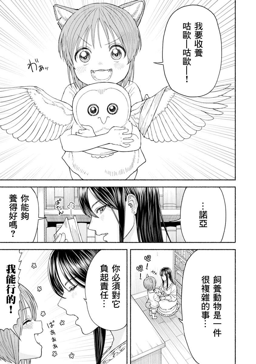 养猫头鹰吧