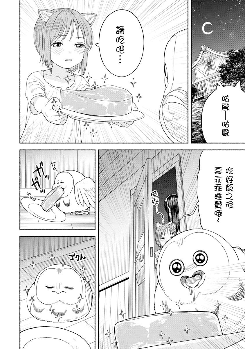 养猫头鹰吧