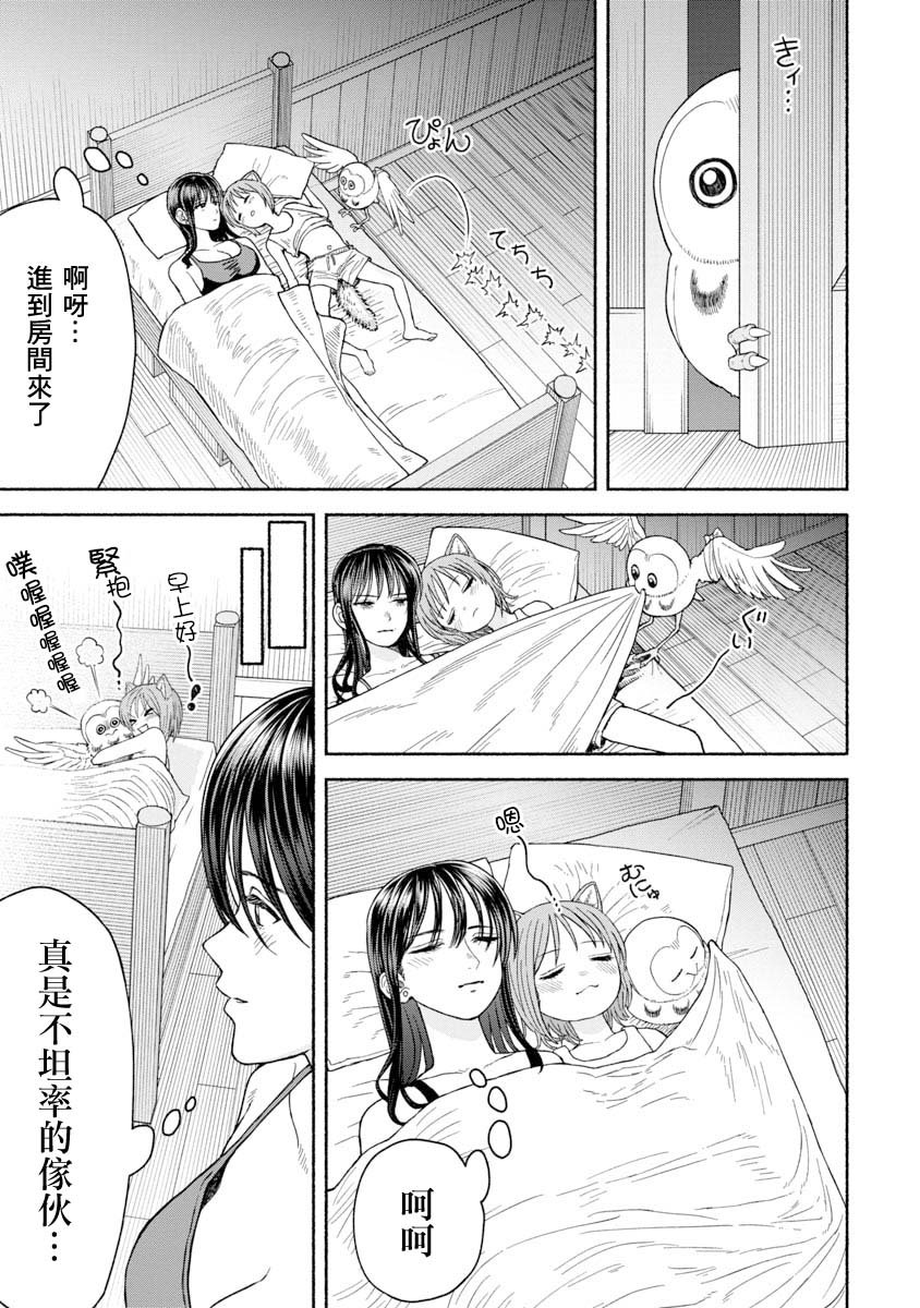养猫头鹰吧