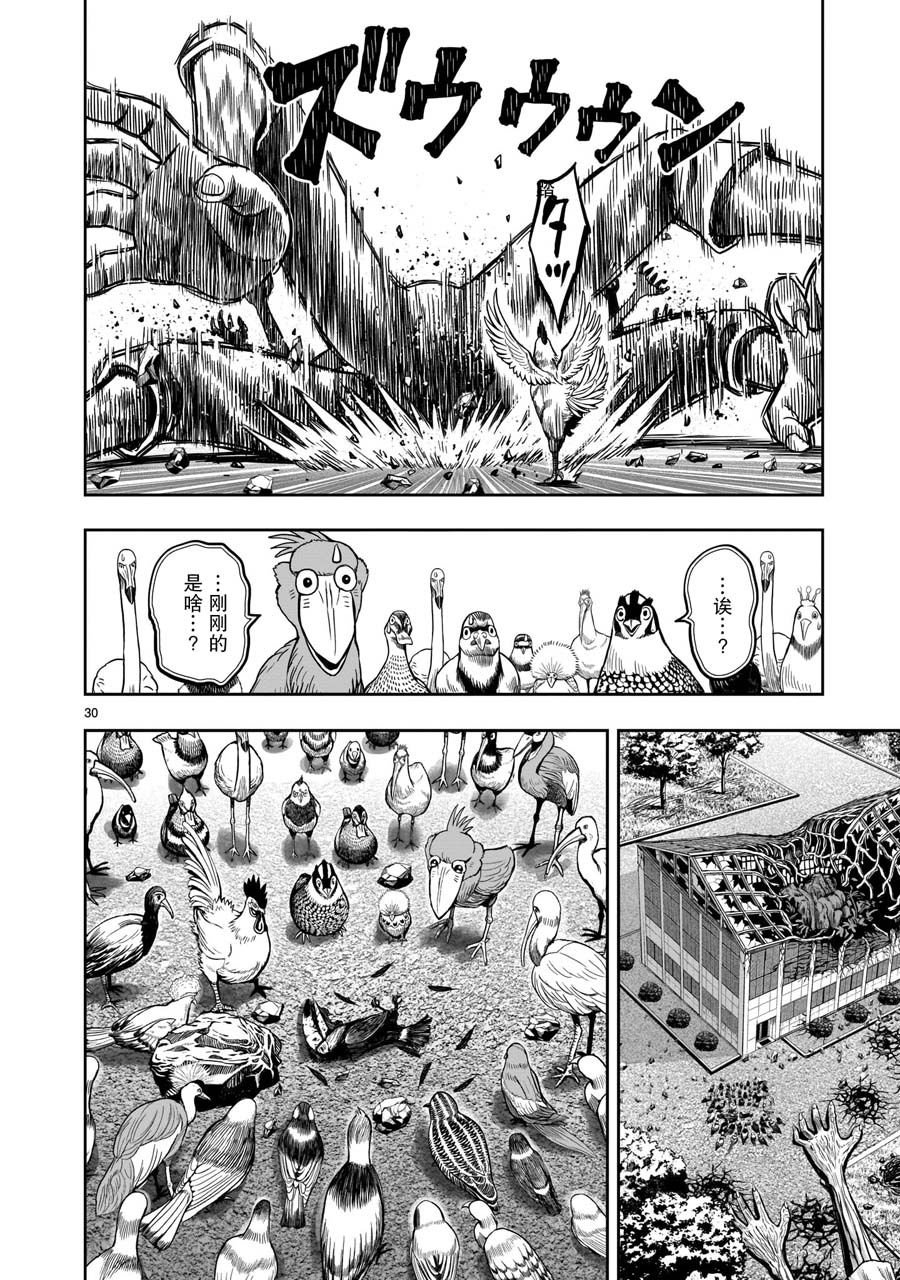 第3话 越乌南枝